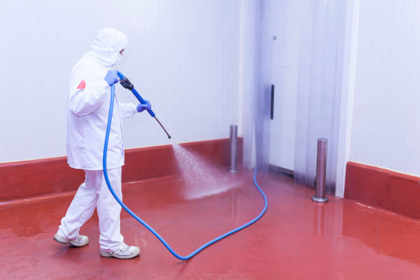 Best Dumpster Area Cleaning  in Twin Lakes, CA